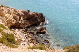 IMG_0370C