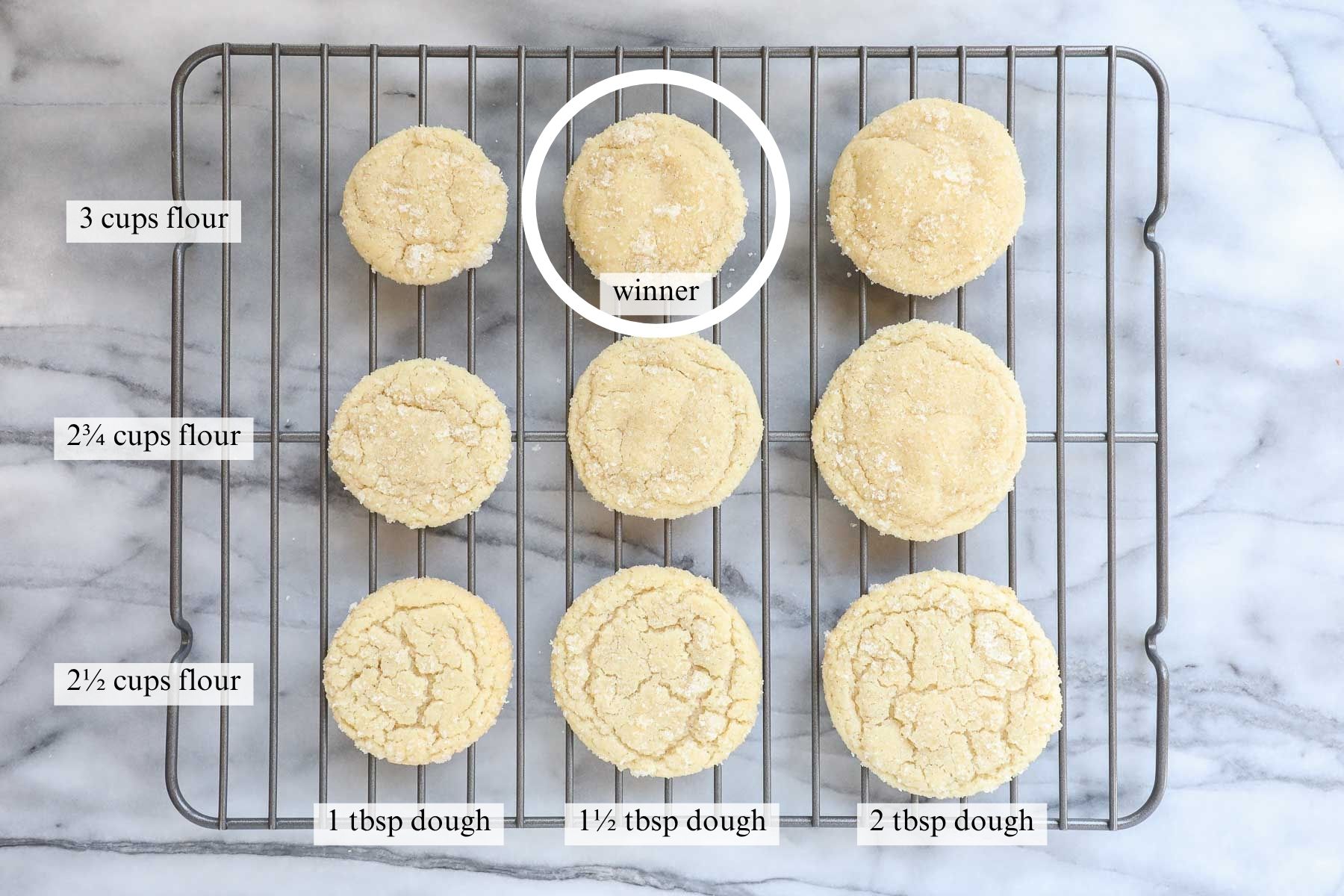 Nine vanilla bean cookies each with a different amount of flour and a different amount of dough for the purpose of recipe testing.