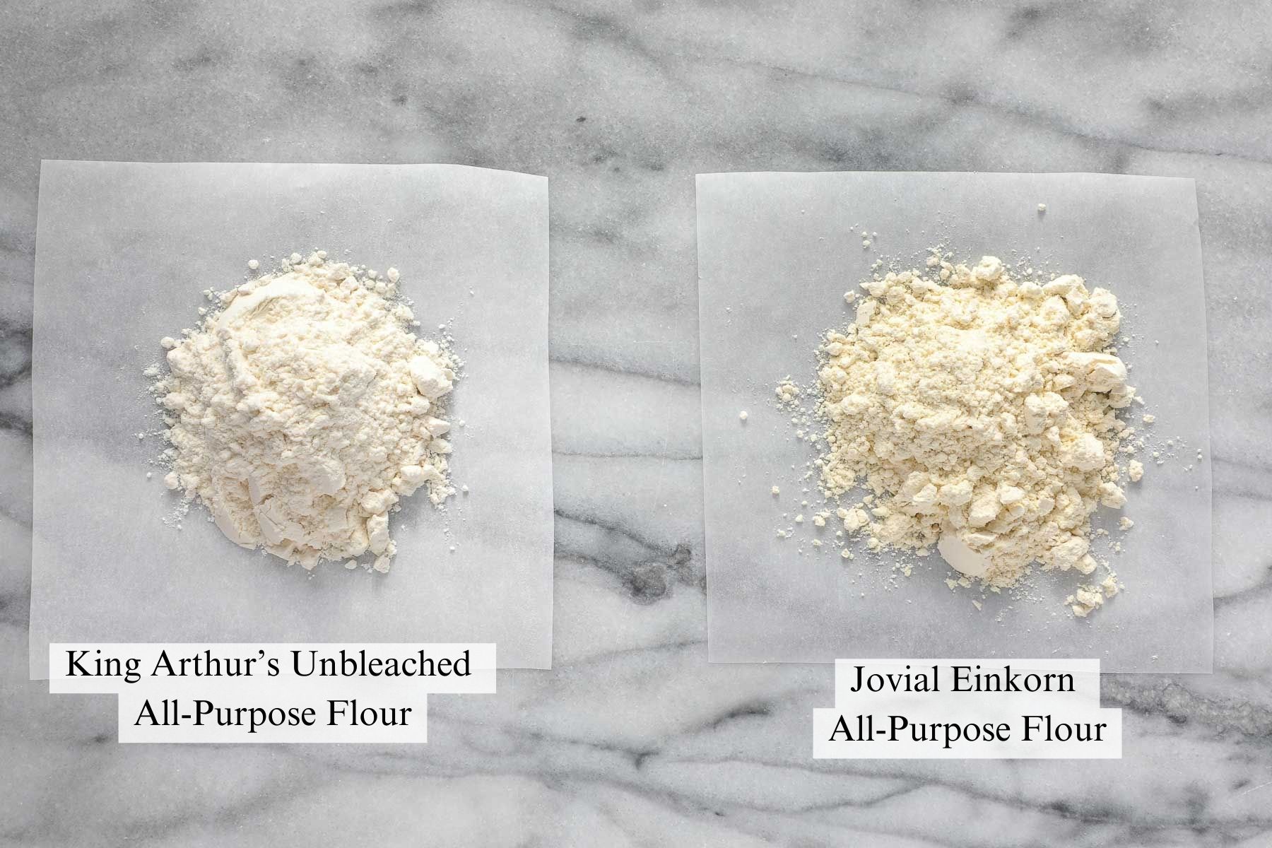 A small amount of King Arthur all-purpose unbleached flour compared with a small amount of Jovial Einkorn all-purpose flour on a light background.