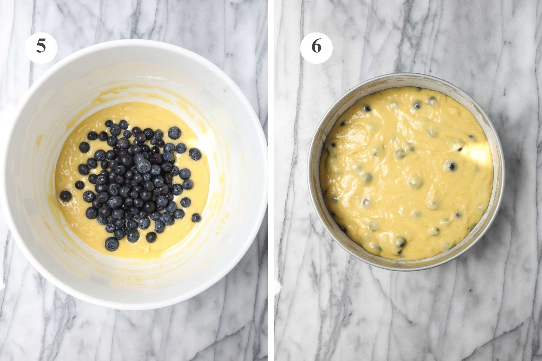 A large white mixing bowl with the cake batter and blueberries added and the springform pan with the cake batter added.