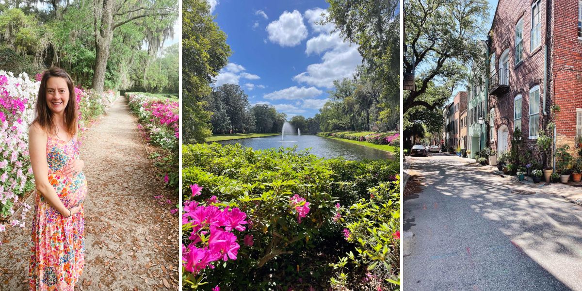 Lauren seven months pregnant at Middleton Place, the flowers at Middleton place, historic architecture in downtown Charleston.