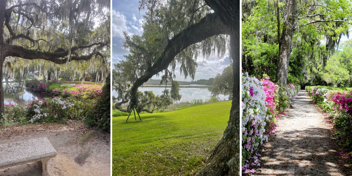 Gardens, large trees with Spanish moss, and the water at Middleton Place Plantation in South Carolina.