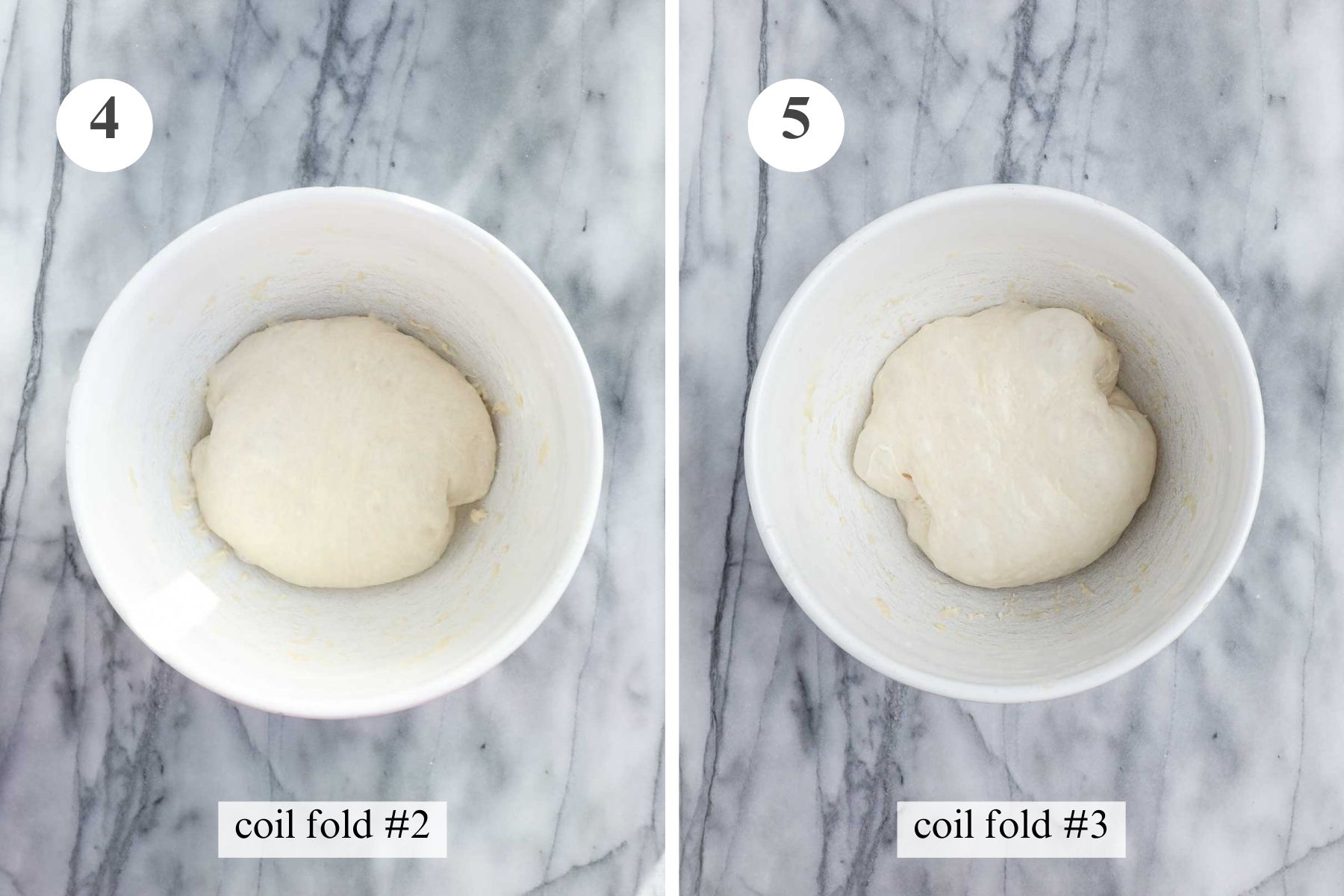 The dough in the bowl after the second and third coil folds.