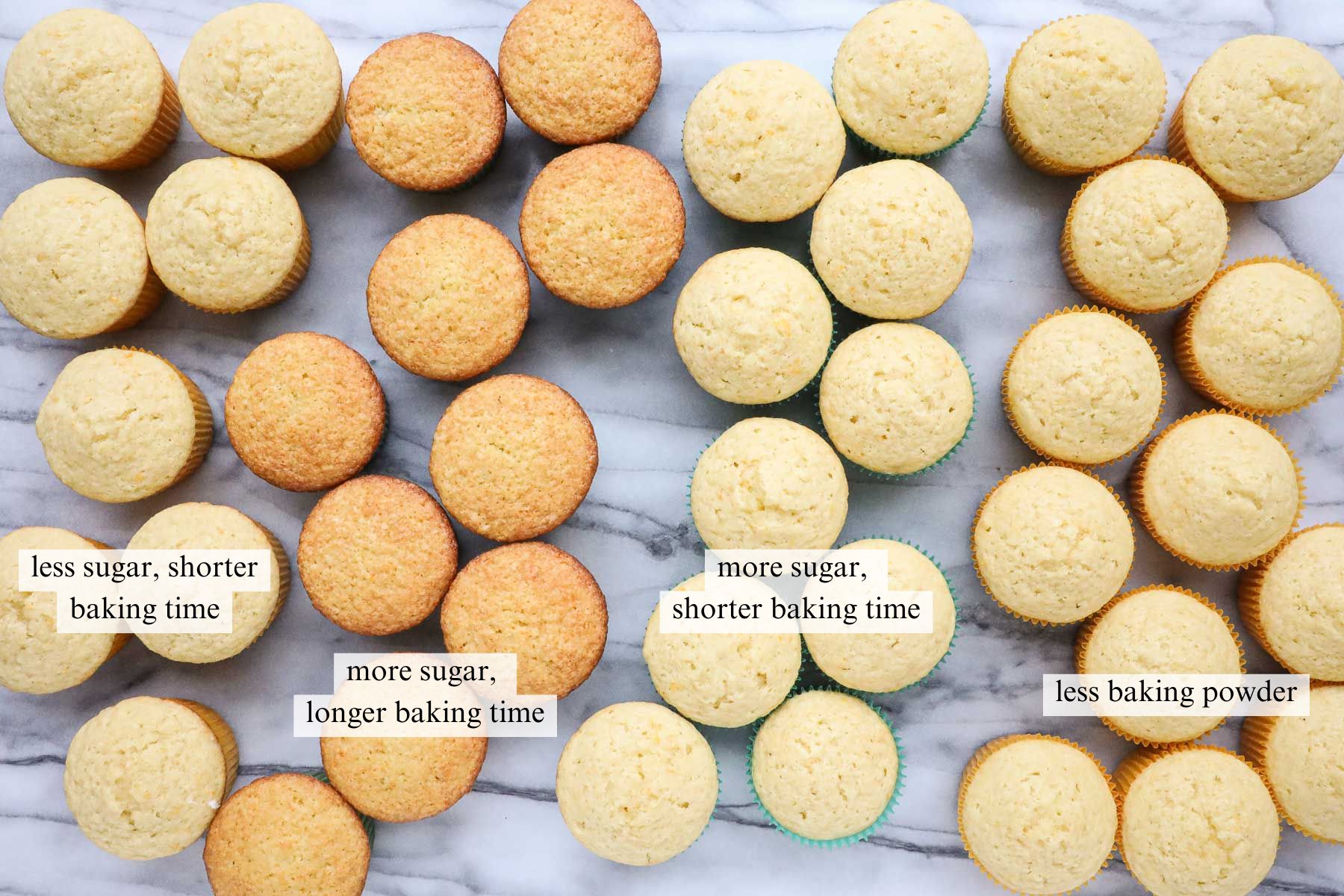 Four different batches of Olive Oil Cupcakes being tested for different variables such as quantity of sugar and baking powder, as well as baking time.