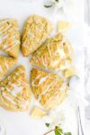Olive Oil Scones arranged in a circle on a white background drizzled with lemon glaze.