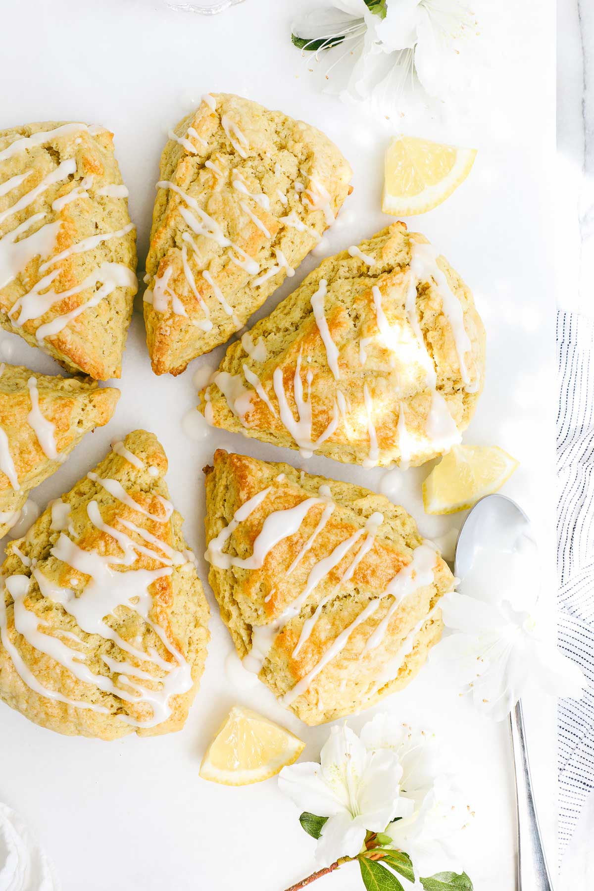 Olive Oil Scones arranged in a circle on a white background drizzled with lemon glaze.