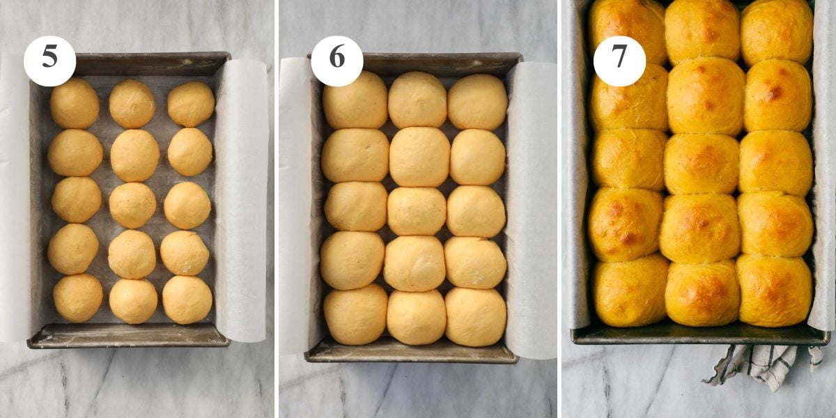 The Pumpkin Dinner Rolls divided and shaped into 15 balls and placed in a 9x13 baking dish, after rising for an hour and after being baked into the oven.